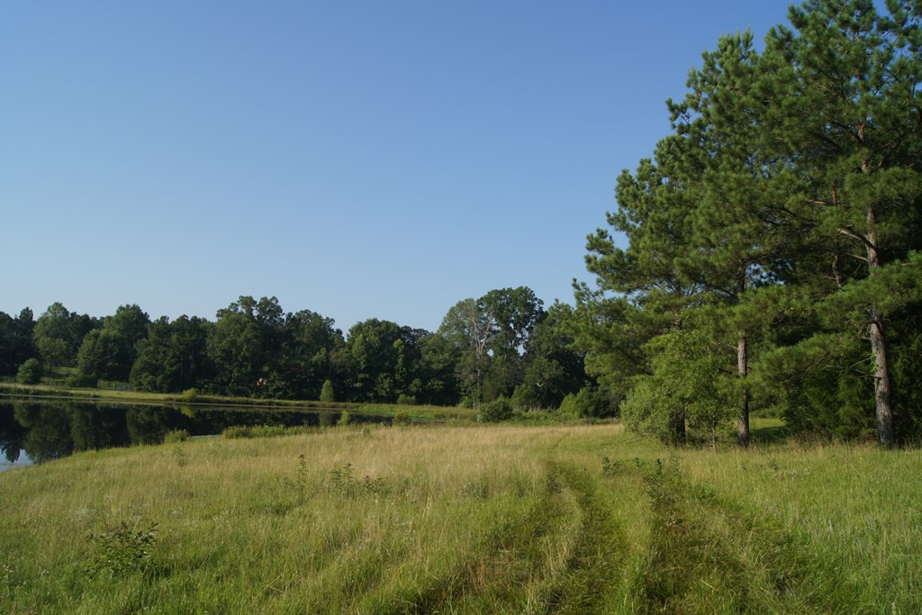 2402 Upper Mill Road Plum Branch, SC 29845 - Photo 5 of 71