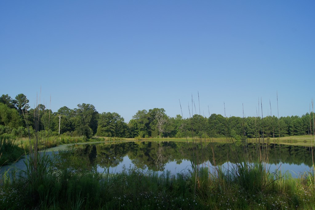 2402 Upper Mill Road Plum Branch, SC 29845 - Photo 8 of 71
