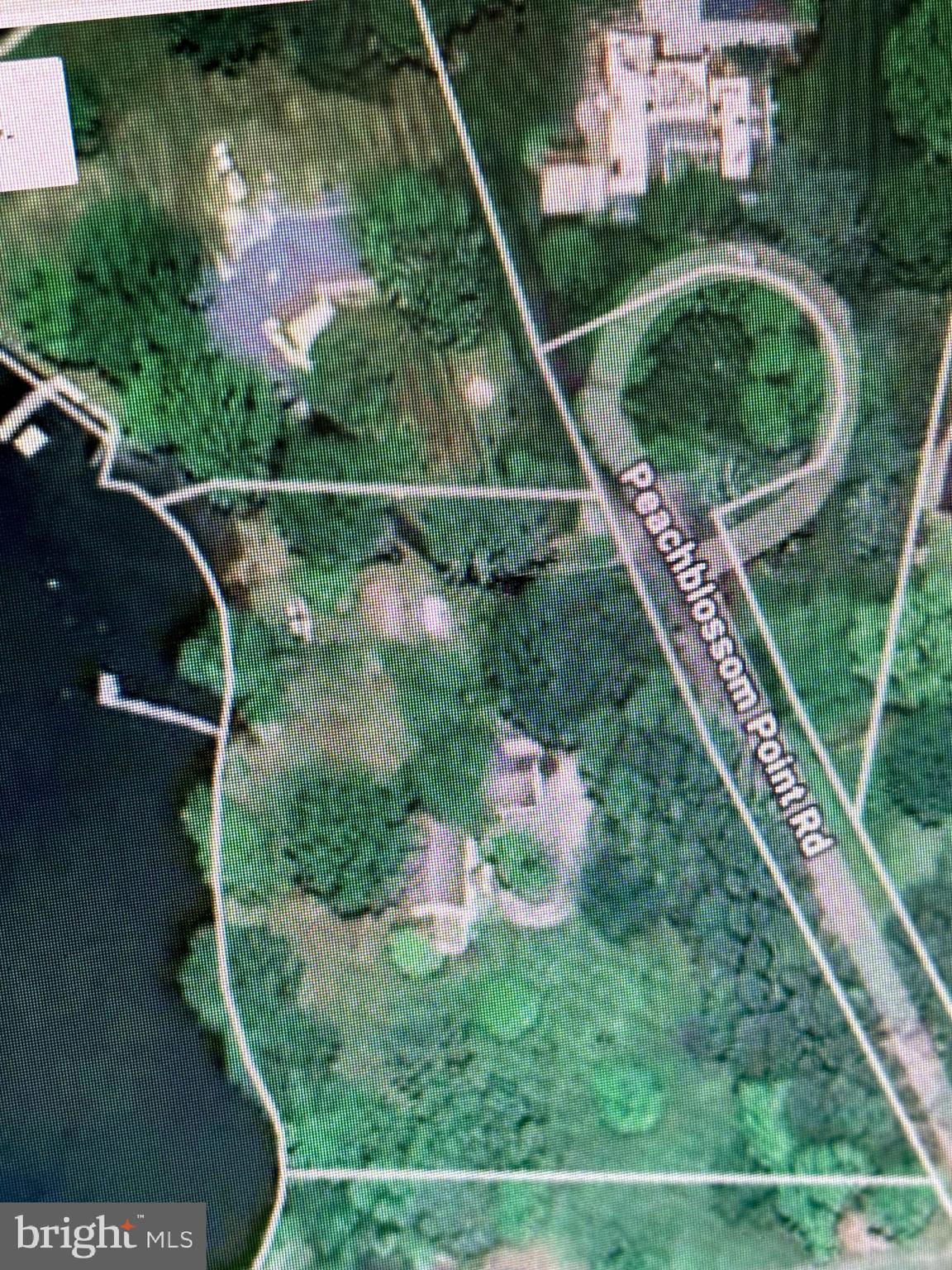 6680 Peachblossom Point Road Easton, MD 21601 - Photo 16 of 35 a view of a backyard with a garden