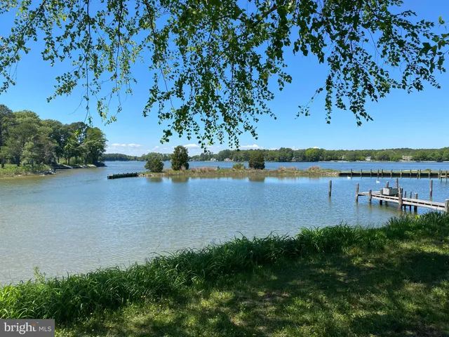 a view of a lake with houses in the back