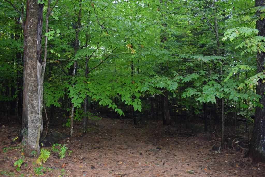 57 Upper Road Sandwich, NH 03227 - Photo 22 of 23