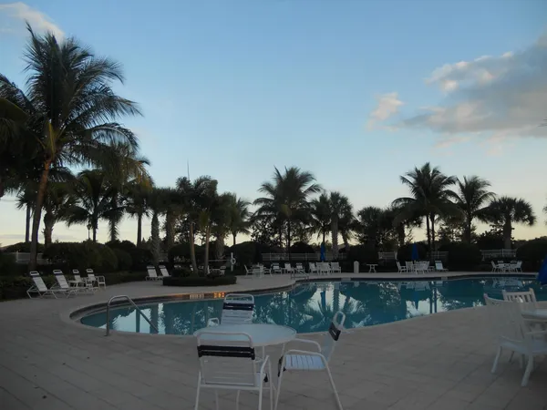 a view of swimming pool with a patio and palm trees