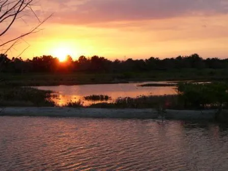 a view of an ocean and beach