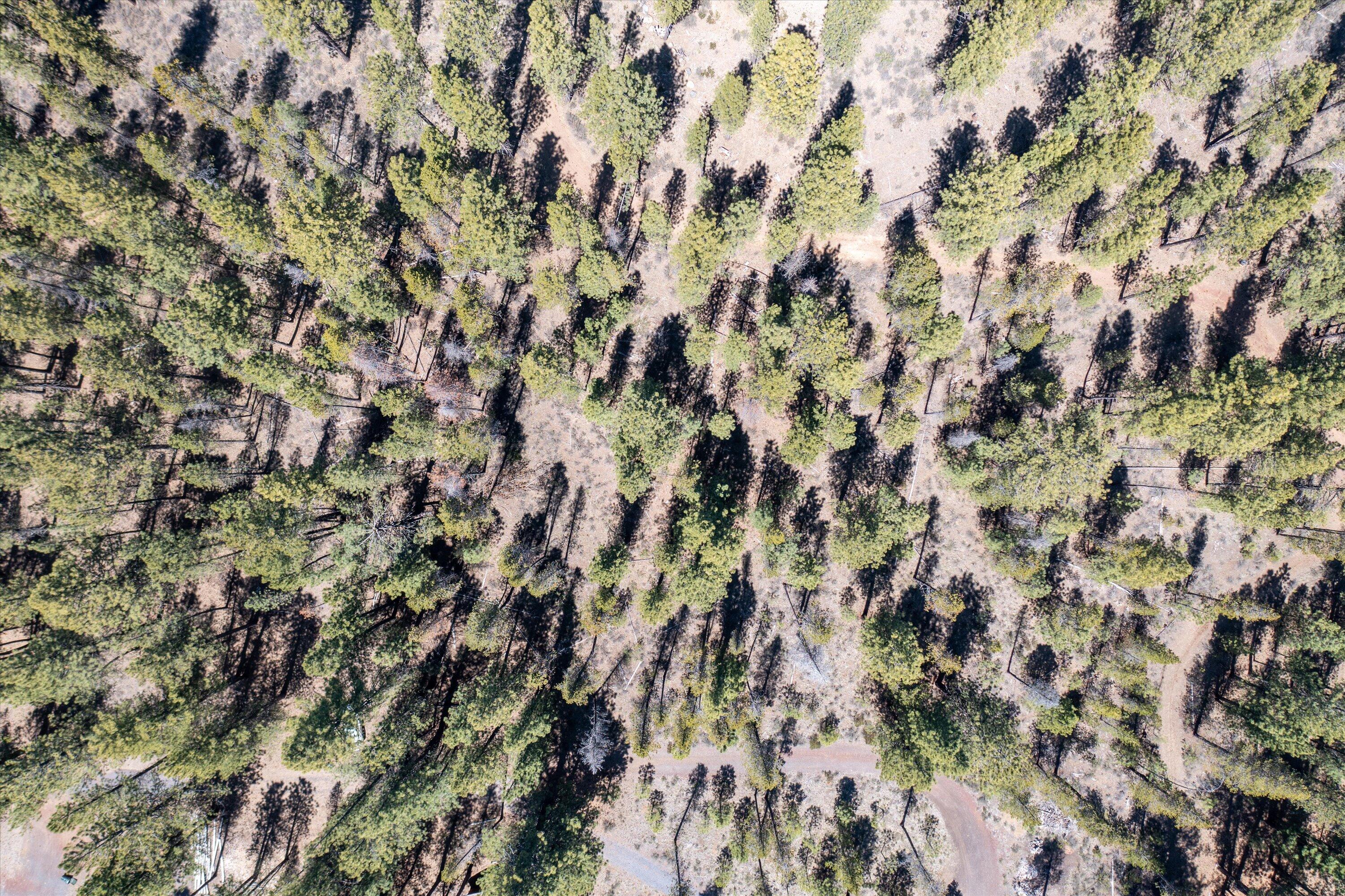 17082 Rani Way Bend, OR 97707 - Photo 4 of 5 Terrain ariel