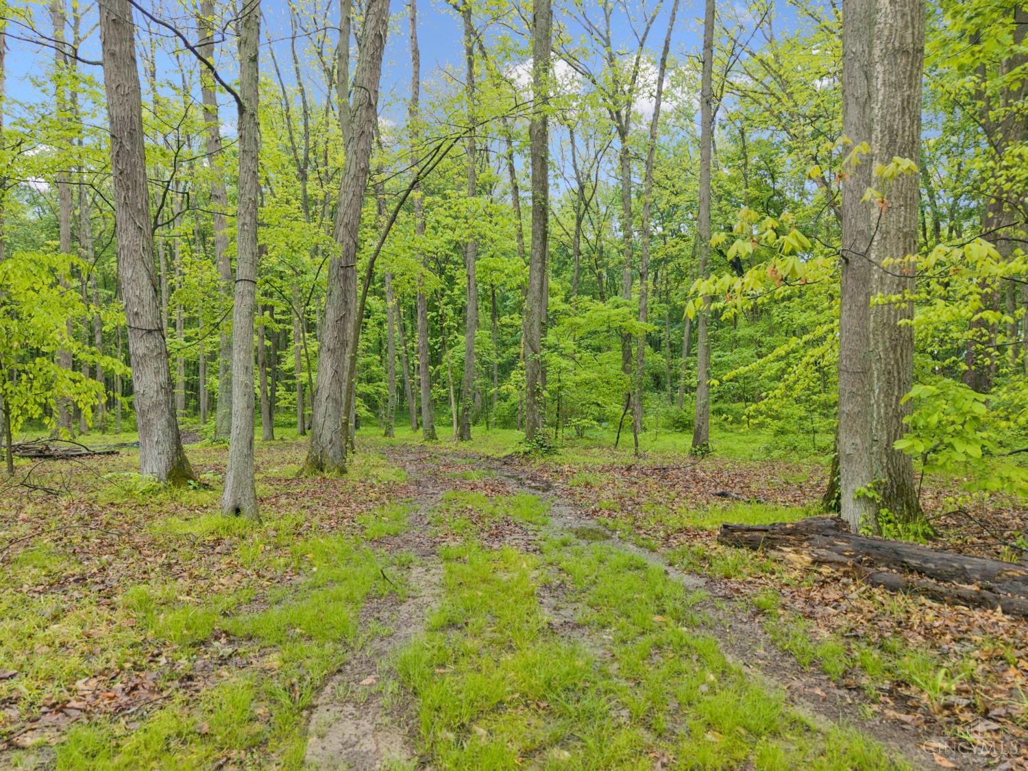 582 Nauvoo Road Clarksville, OH 45113 - Photo 9 of 44