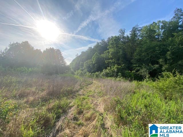 0 Highway 231, Unit 88 / AC Cleveland, AL 35049 - Photo 11 of 20