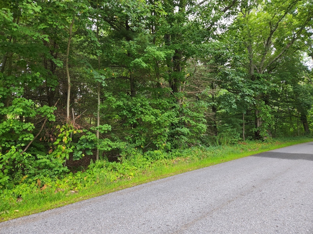 0 King Road Charlton, MA 01507 - Photo 4 of 4