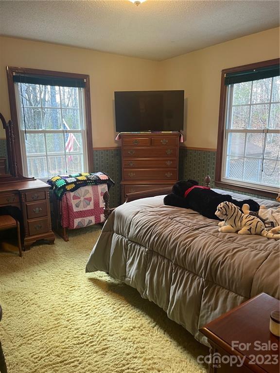 658 Babb Road Rosman, NC 28772 - Photo 19 of 36 Gallery Image 19