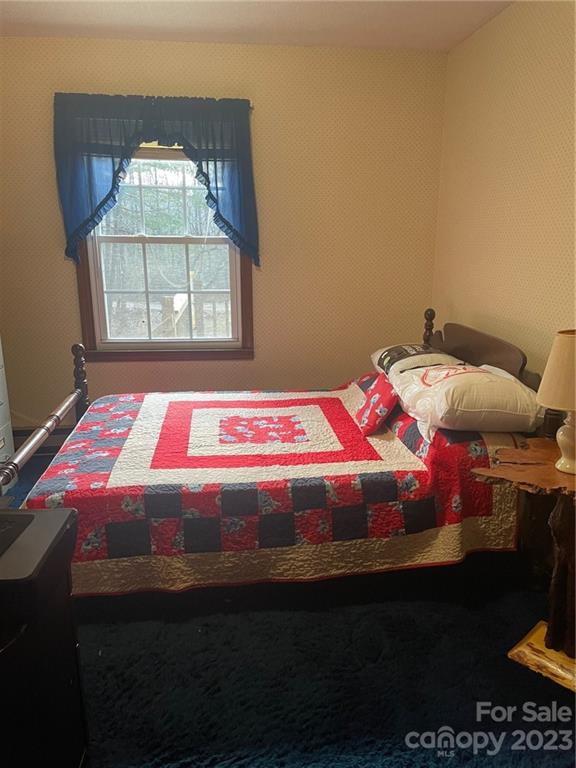 658 Babb Road Rosman, NC 28772 - Photo 20 of 36 Gallery Image 20