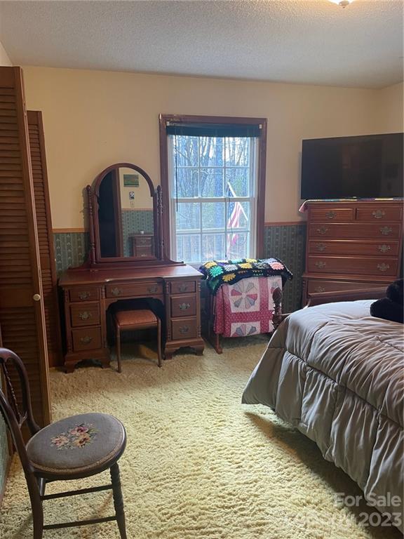 658 Babb Road Rosman, NC 28772 - Photo 22 of 36 Gallery Image 22