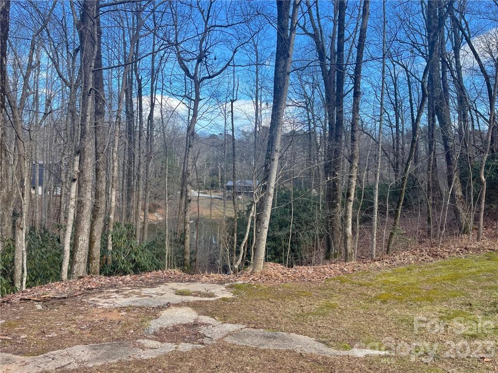 658 Babb Road Rosman, NC 28772 - Photo 31 of 36 Gallery Image 31