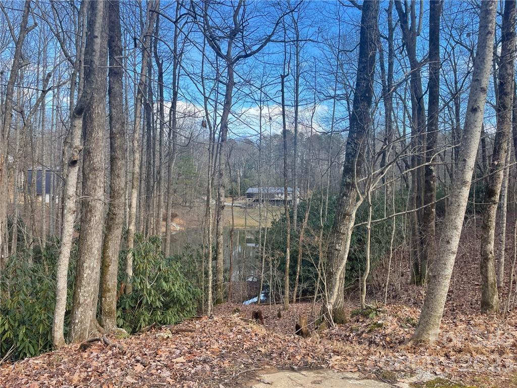 658 Babb Road Rosman, NC 28772 - Photo 32 of 36 Gallery Image 32