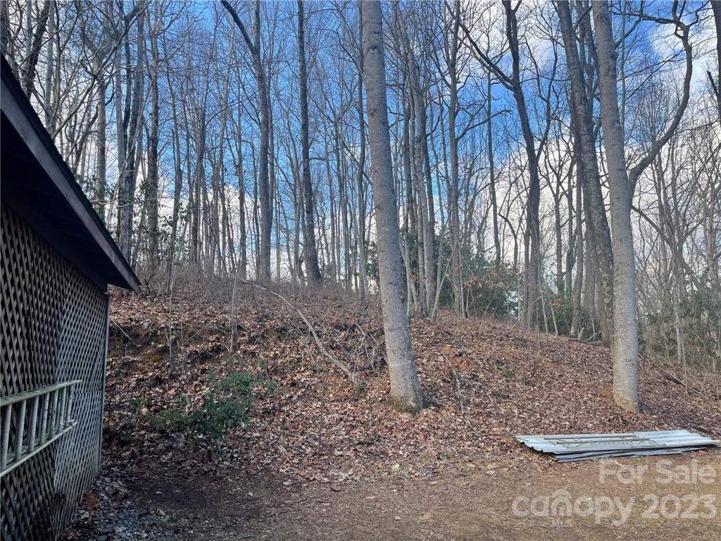 658 Babb Road Rosman, NC 28772 - Photo 8 of 36 Gallery Image 8