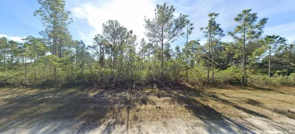 $59,900 | 809 Portulaca Drive, Indian Lake Estates, FL 33843