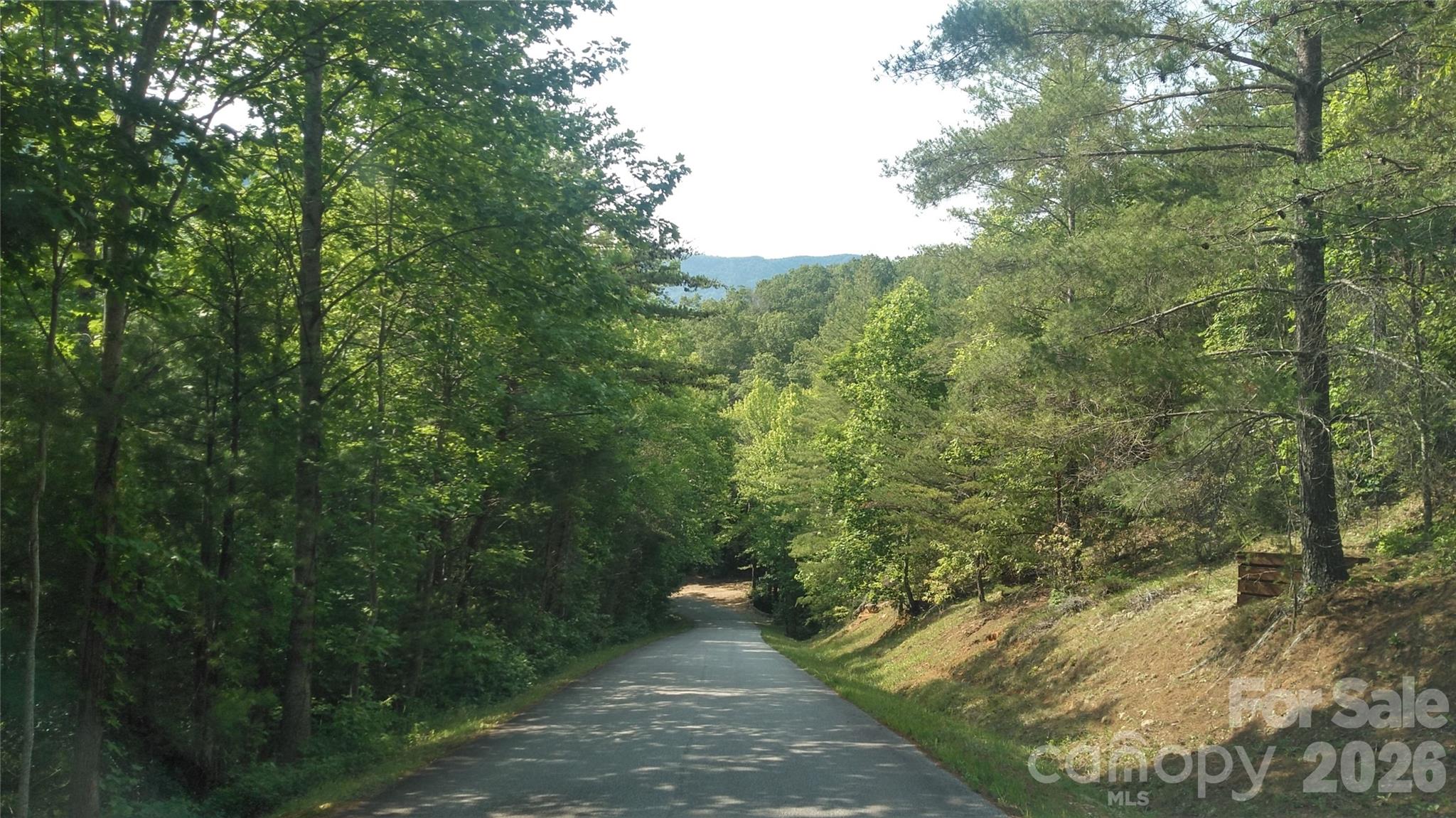 Lot 17 Deer Ridge Trail Marion, NC 28752 - Photo 7 of 8