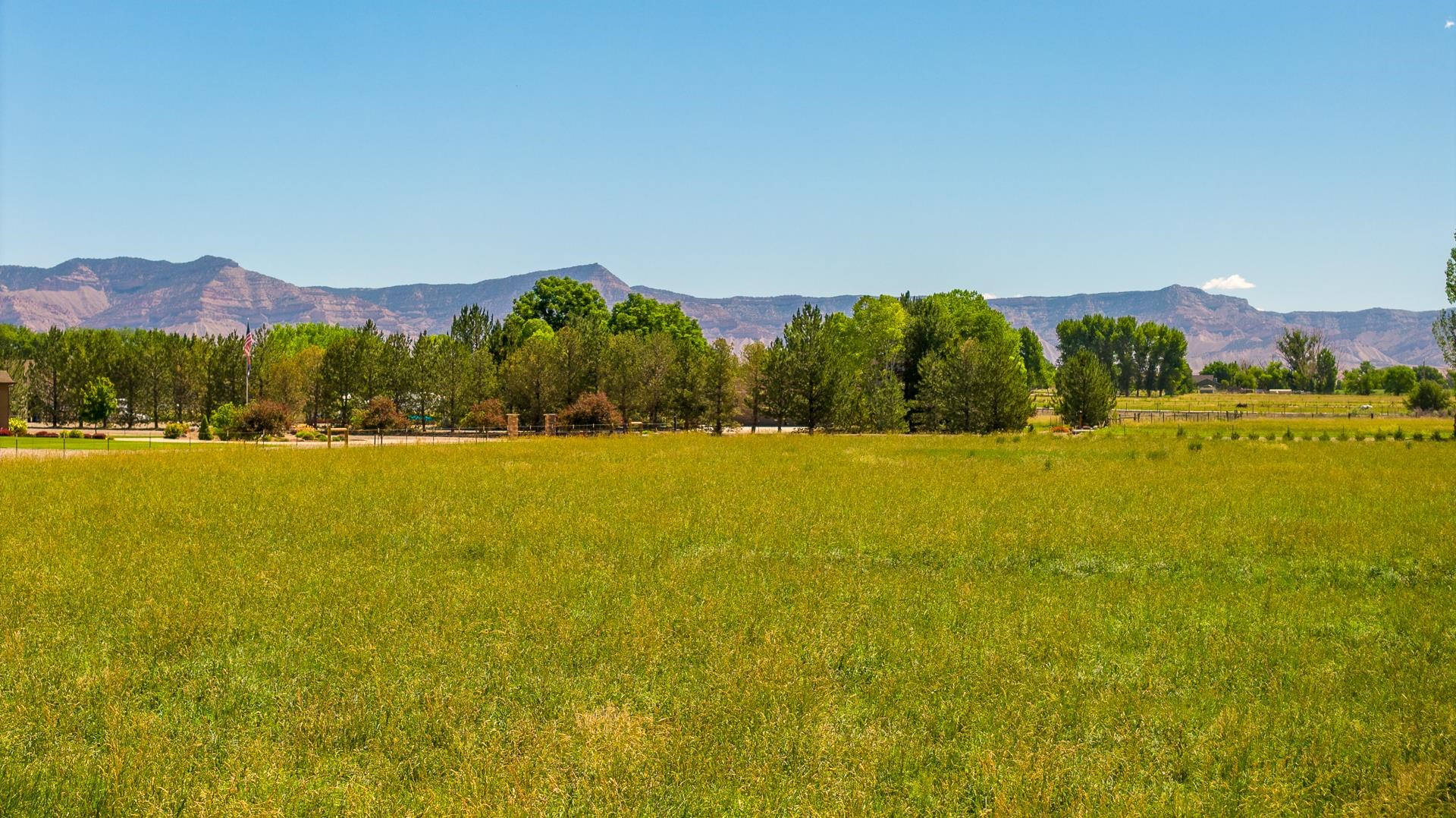 1435 17 3/4 Road Fruita, CO 81521 - Photo 10 of 13