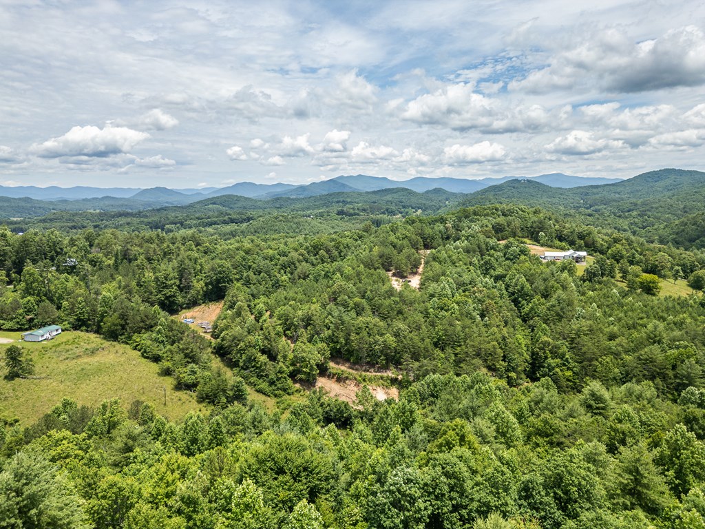 2 Stormy Ridge Brasstown, NC 28902 - Photo 11 of 16