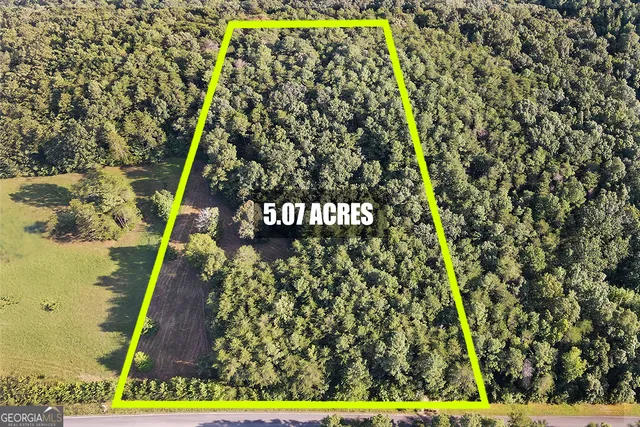 a view of a garden with a flower