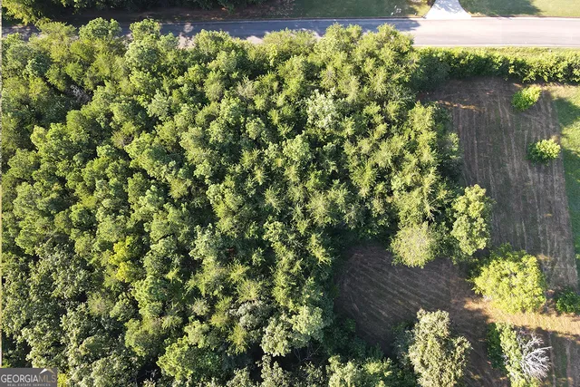 a view of a bird bath