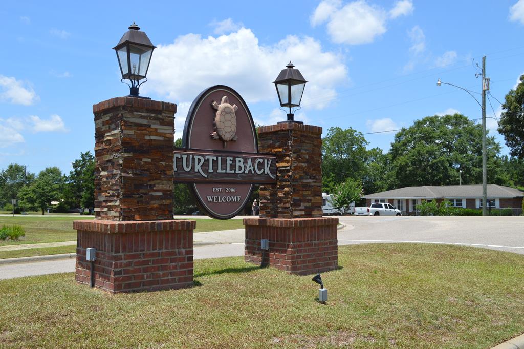 410 Turtle Back Trail Enterprise, AL 36330 - Photo 1 of 17