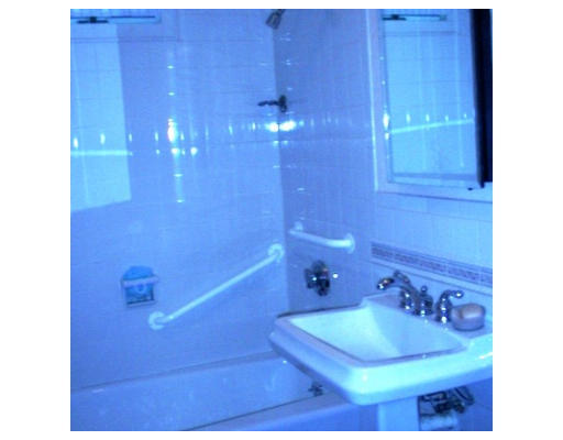 175 Woodcliff Road Newton, MA 02461 - Photo 5 of 6 a bathroom with a sink and a tub