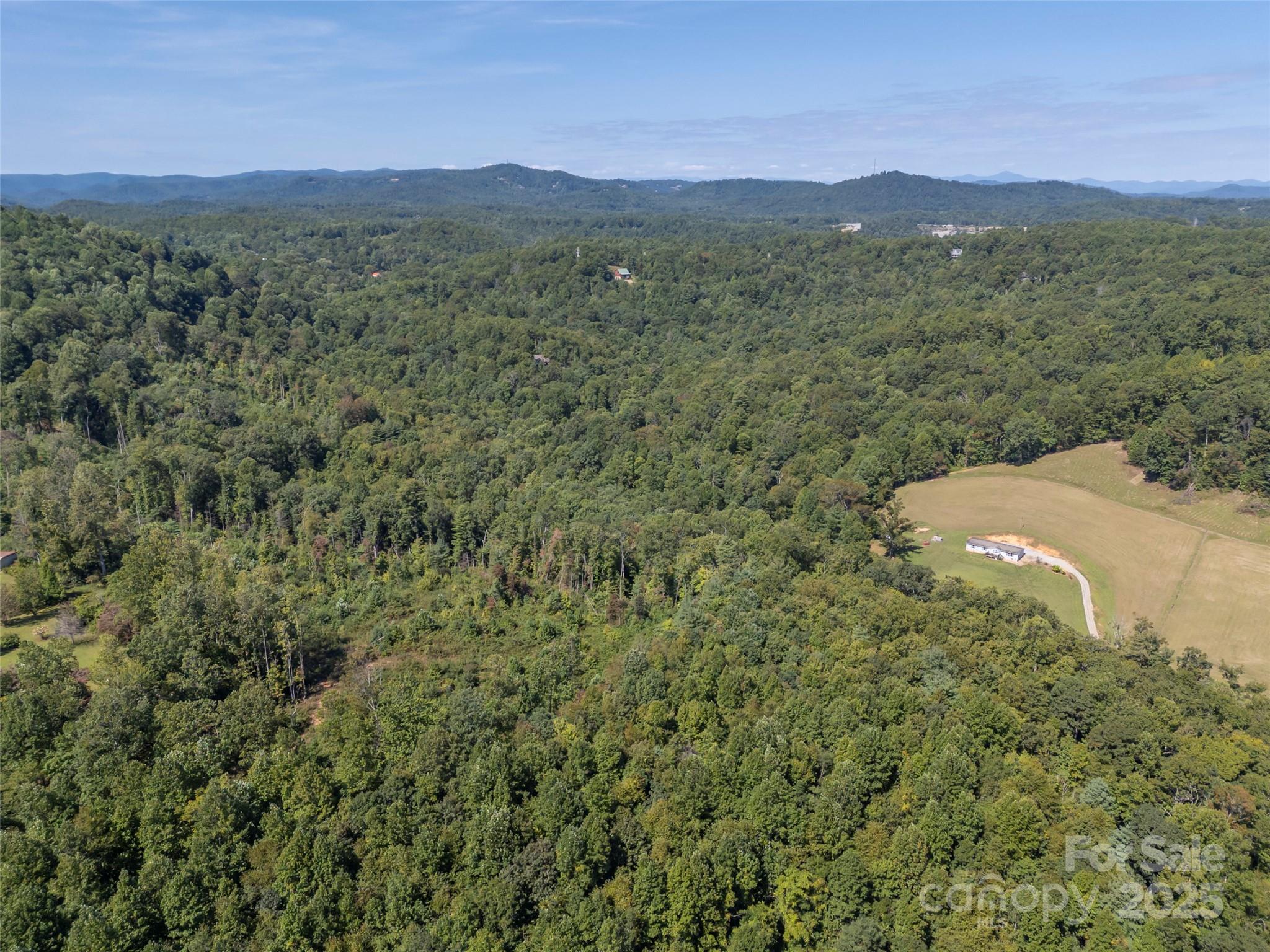 0 Camp Creek Road Saluda, NC 28773 - Photo 11 of 37 a view of a lush green hillside and a houses