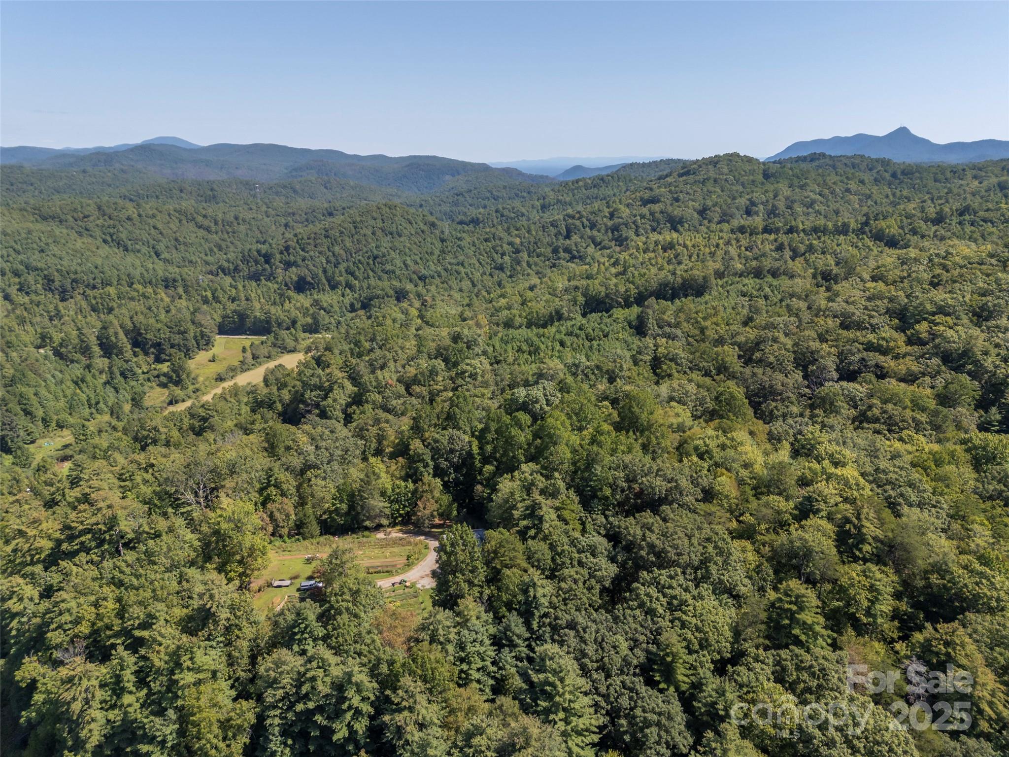 0 Camp Creek Road Saluda, NC 28773 - Photo 12 of 37 a view of a mountain in the distance in a field