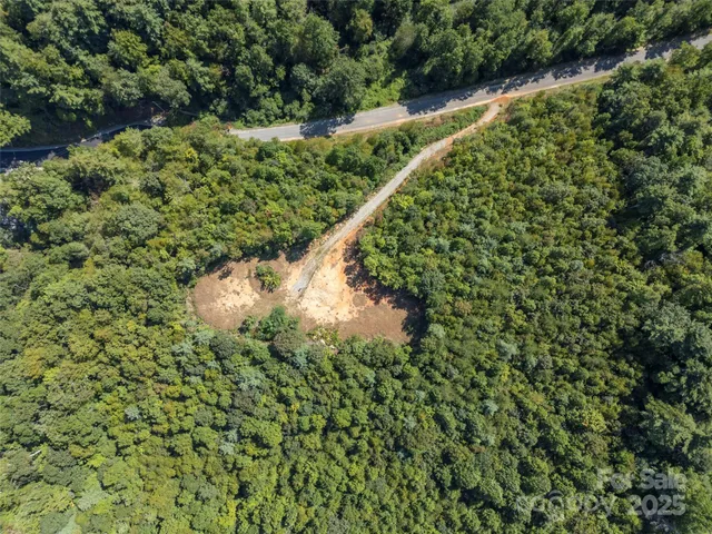 a view of a garden with a plant