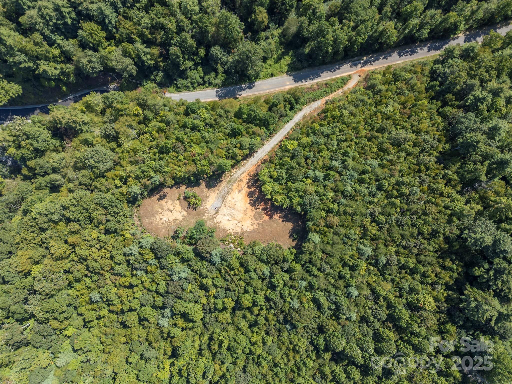 0 Camp Creek Road Saluda, NC 28773 - Photo 13 of 37 a view of a garden with a plant