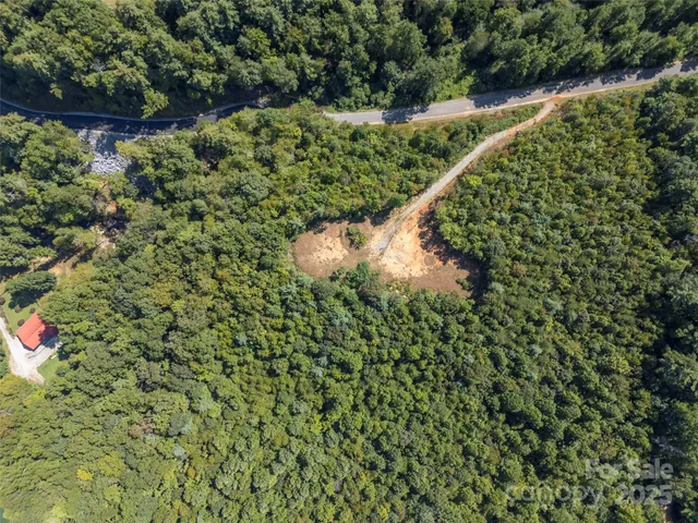 a view of a garden with a tree