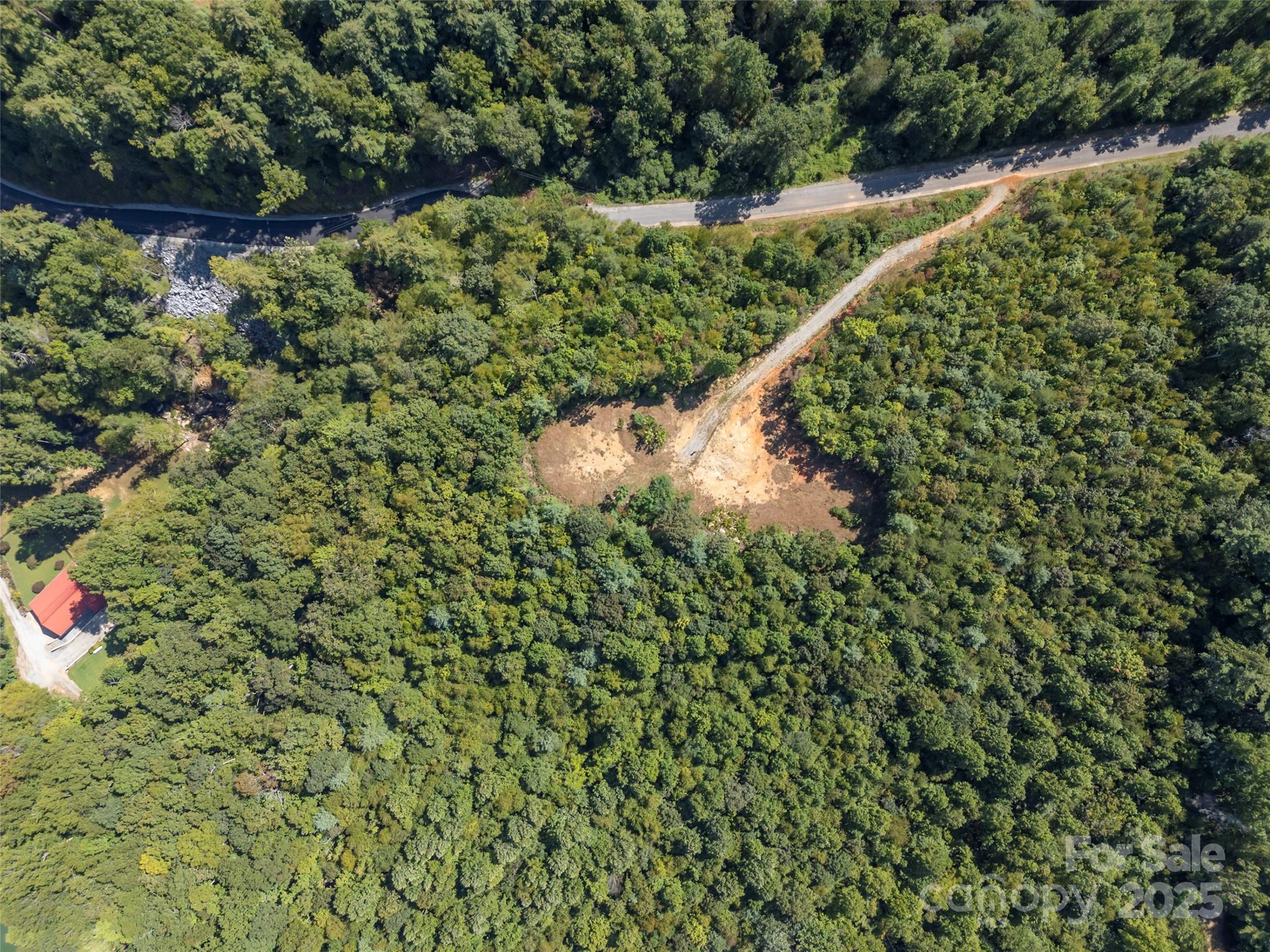 0 Camp Creek Road Saluda, NC 28773 - Photo 14 of 37 a view of a garden with a tree