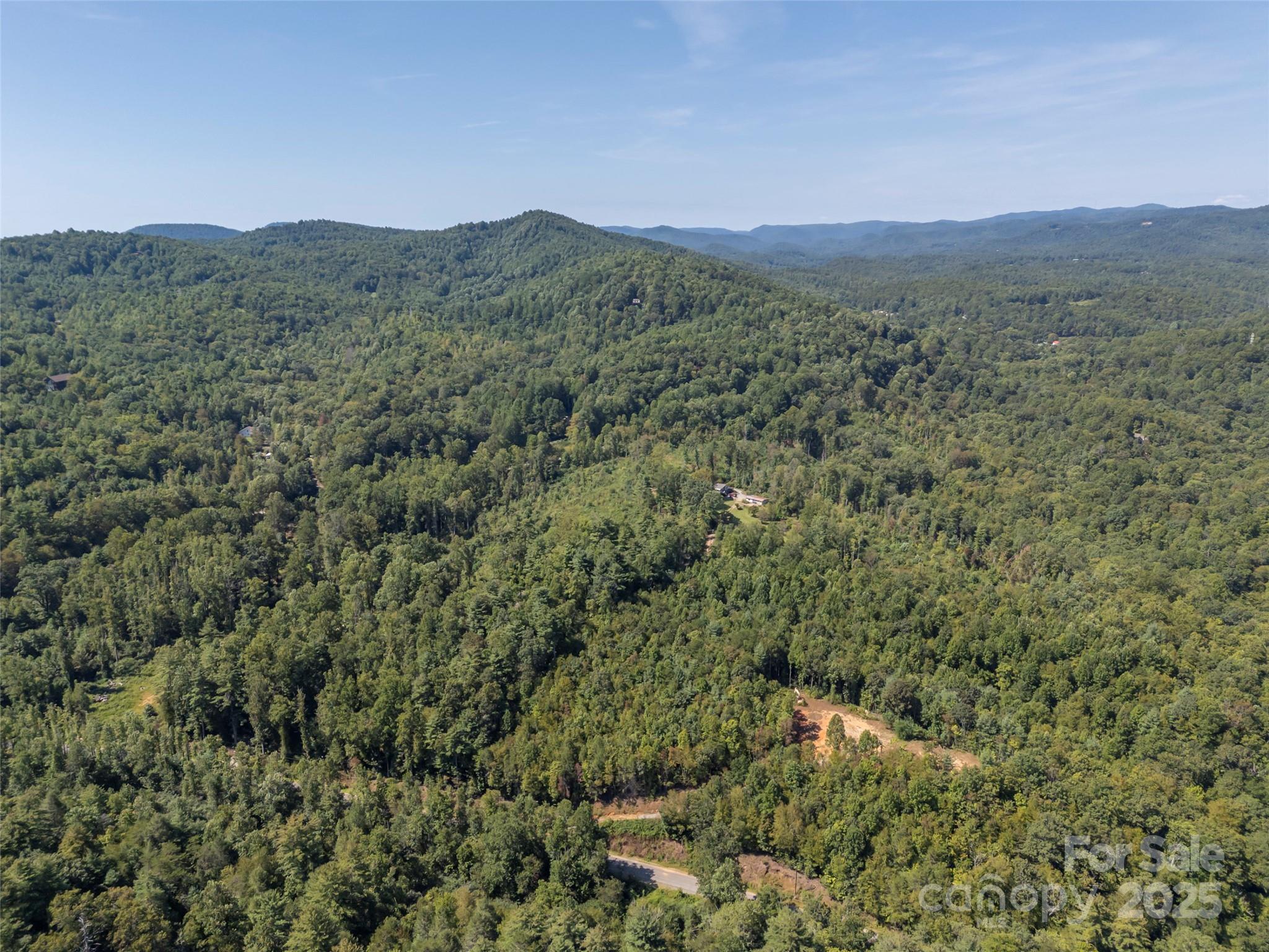0 Camp Creek Road Saluda, NC 28773 - Photo 17 of 37 a view of a lush green forest with lush green forest