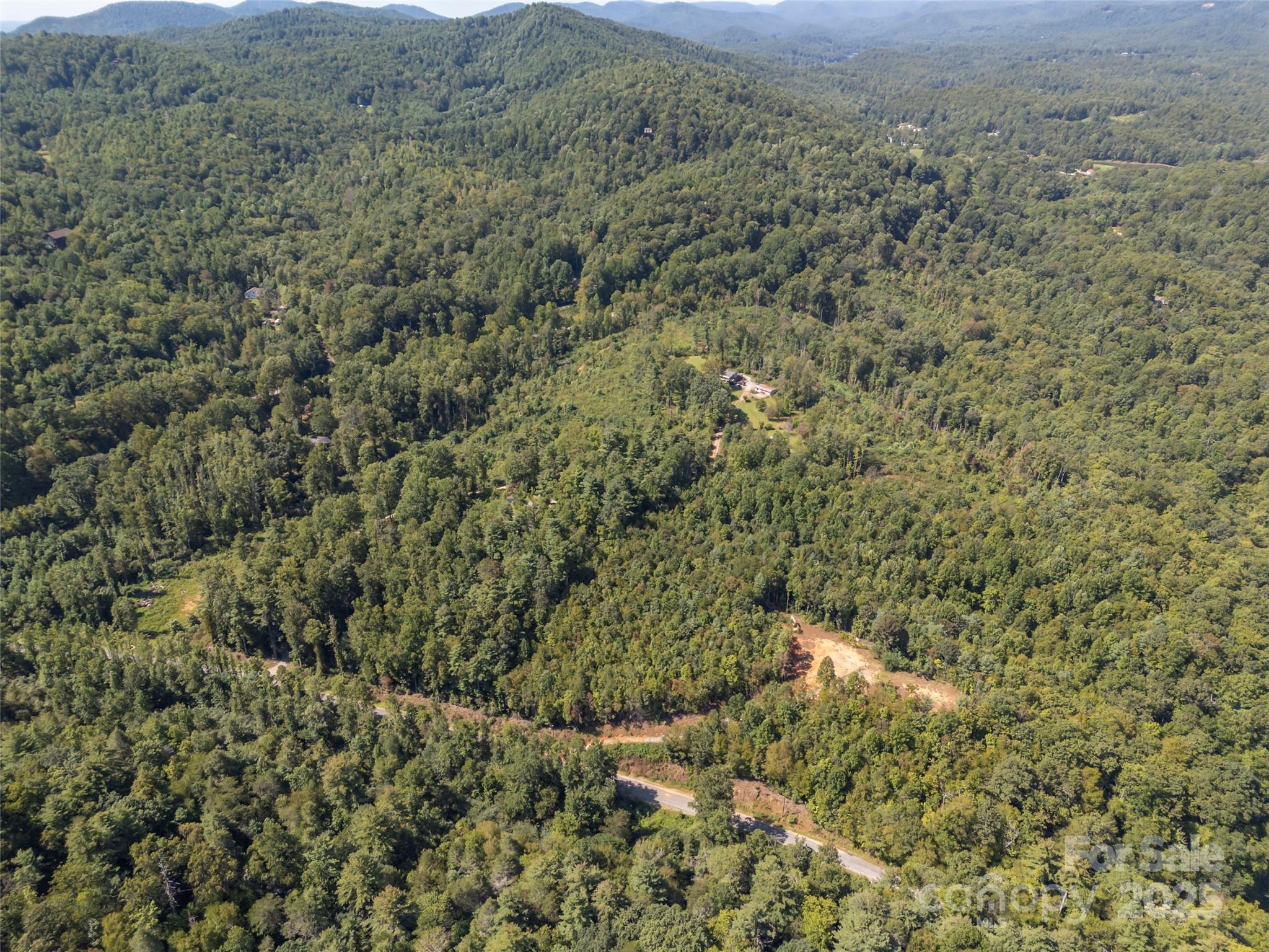 0 Camp Creek Road Saluda, NC 28773 - Photo 18 of 37 a view of a forest with a street
