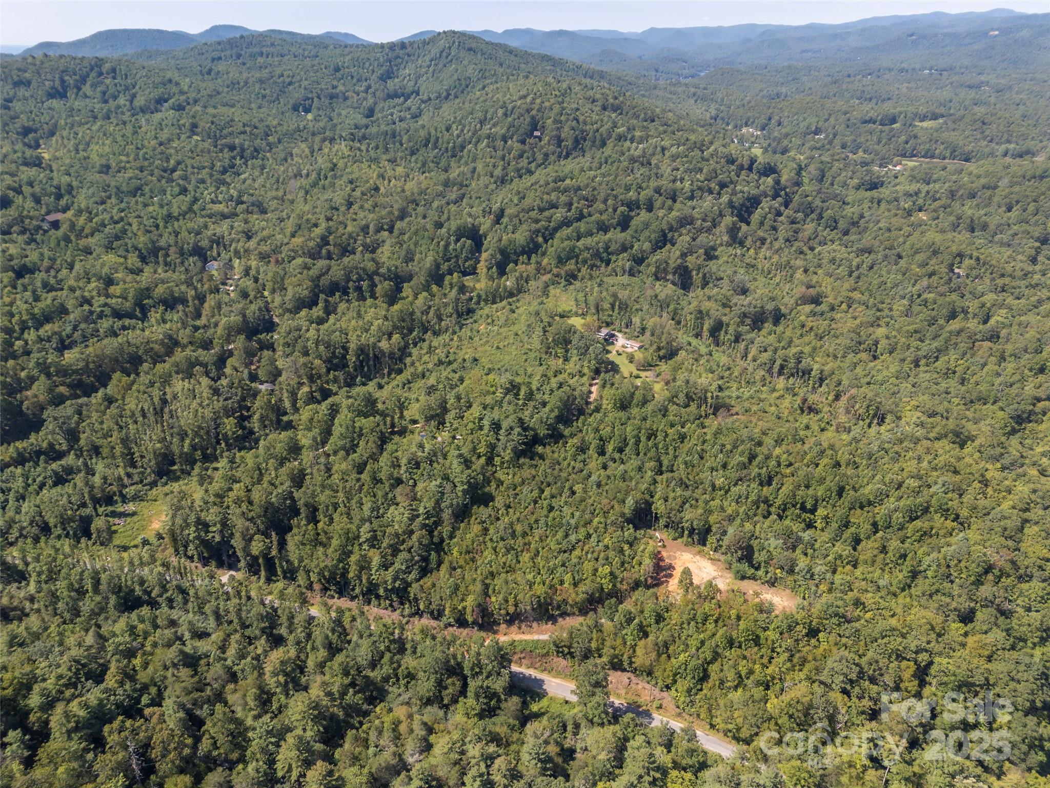 0 Camp Creek Road Saluda, NC 28773 - Photo 19 of 37 a view of a lush green field