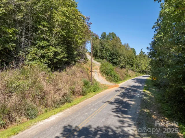 a view of a yard with plants and a bench