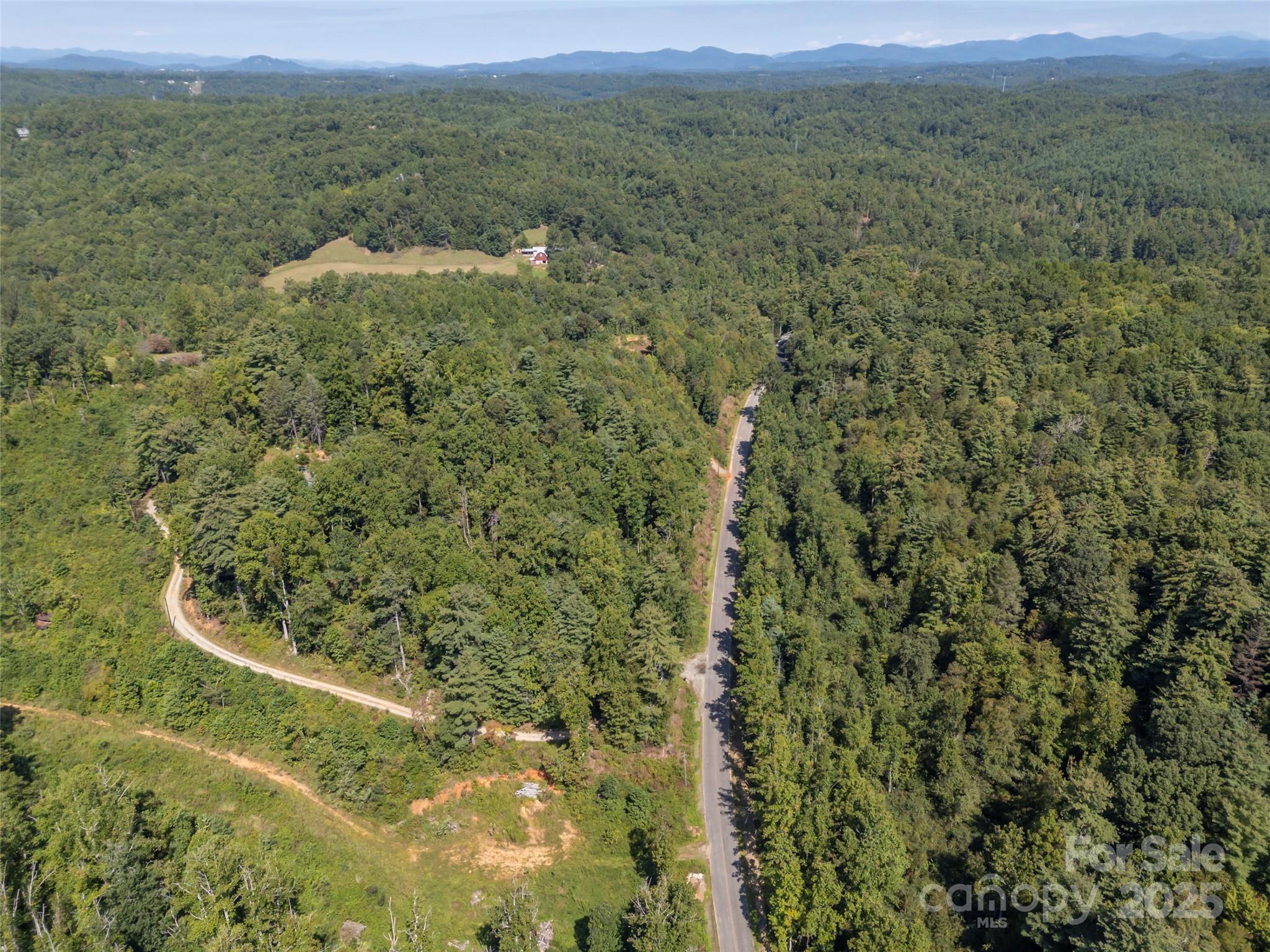 0 Camp Creek Road Saluda, NC 28773 - Photo 21 of 37 a view of a big yard with lots of trees