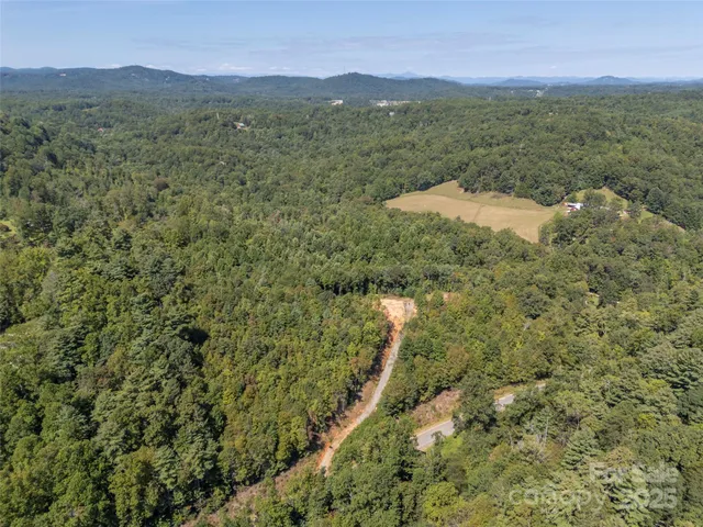 a view of a lush green hillside and a building