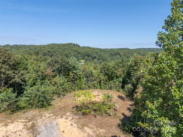 a view of a yard with a tree