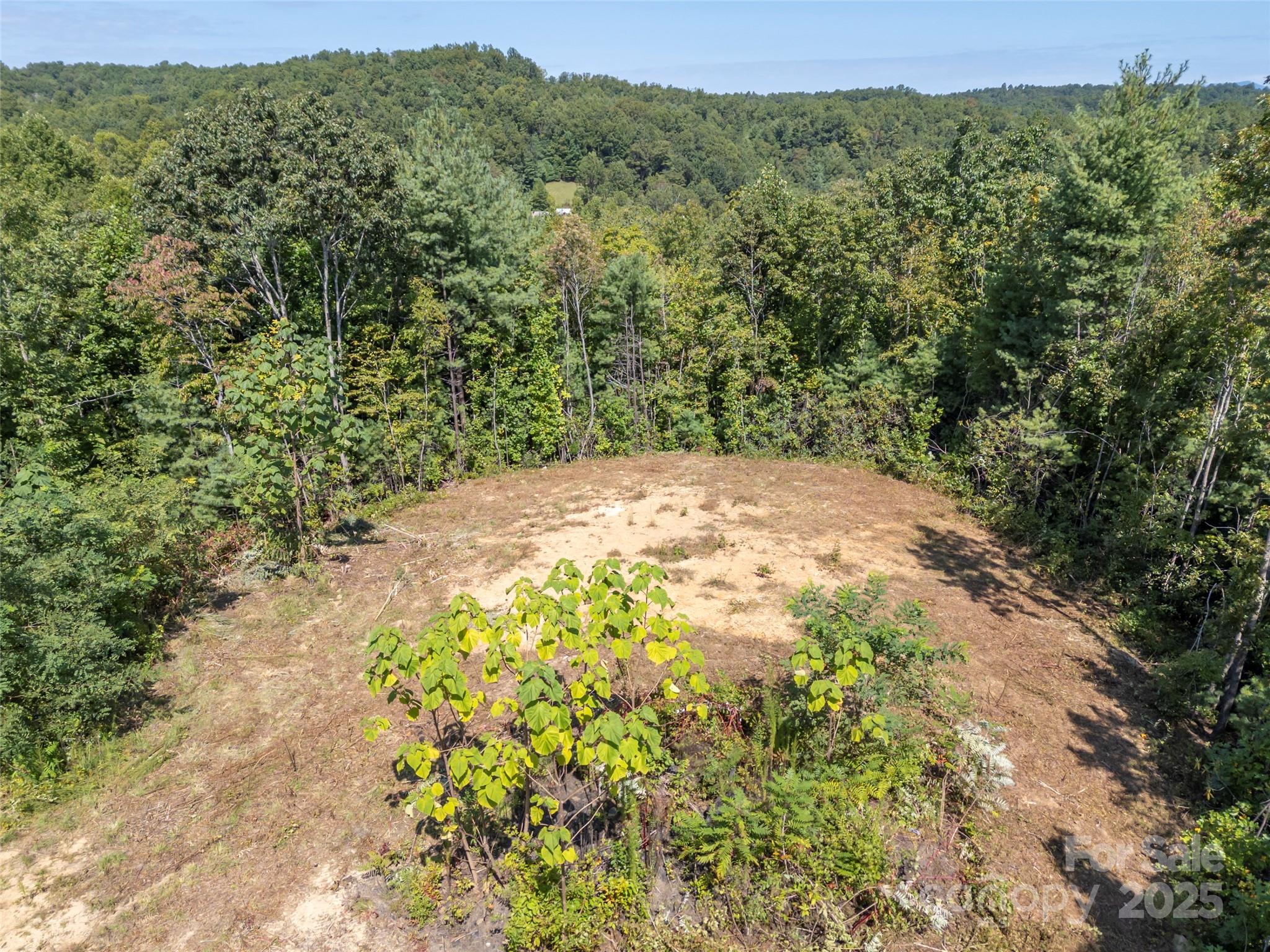 0 Camp Creek Road Saluda, NC 28773 - Photo 25 of 37 a view of a dry yard with trees in the background