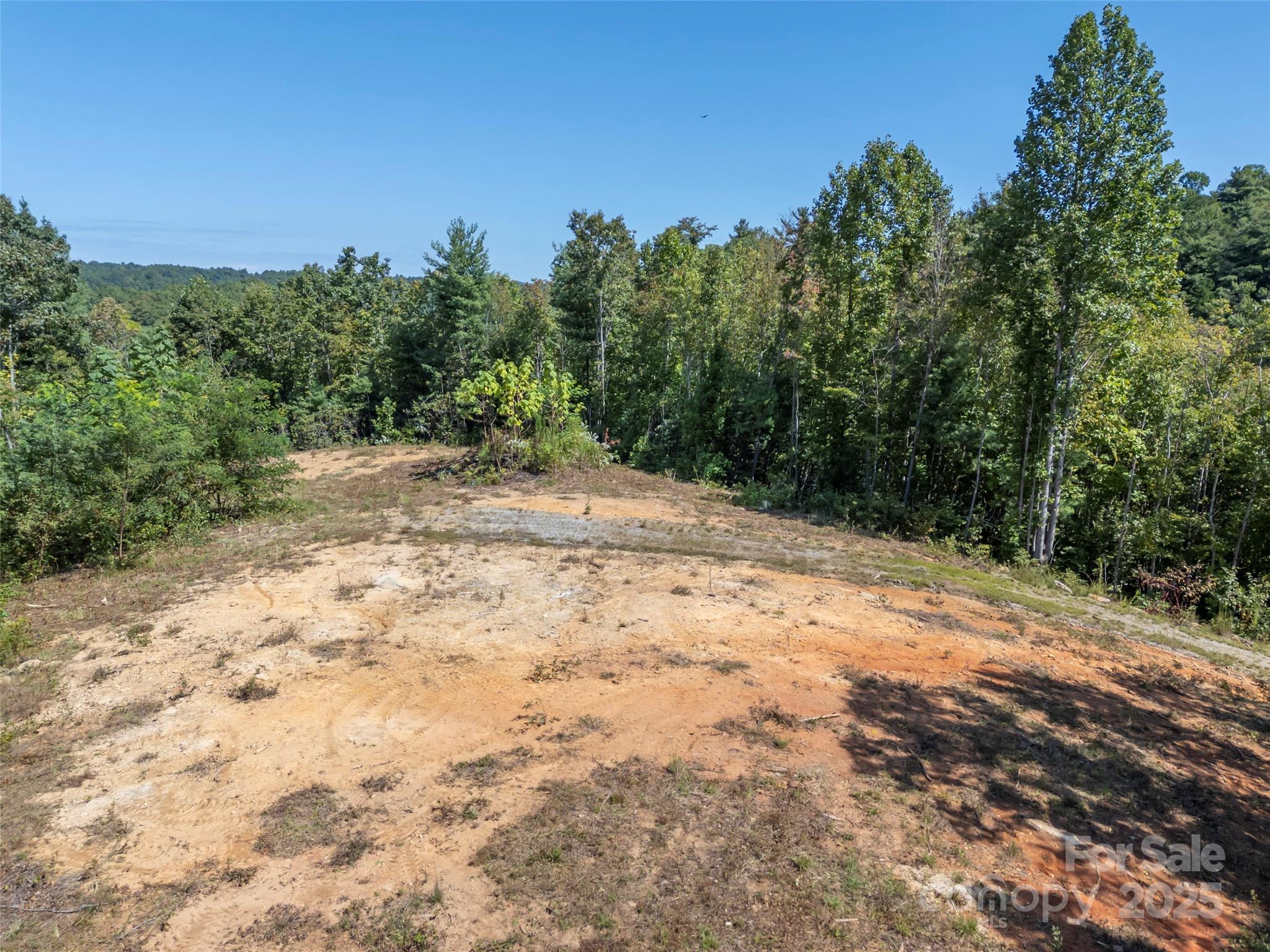 0 Camp Creek Road Saluda, NC 28773 - Photo 28 of 37 a view of a dirt road with trees in the background