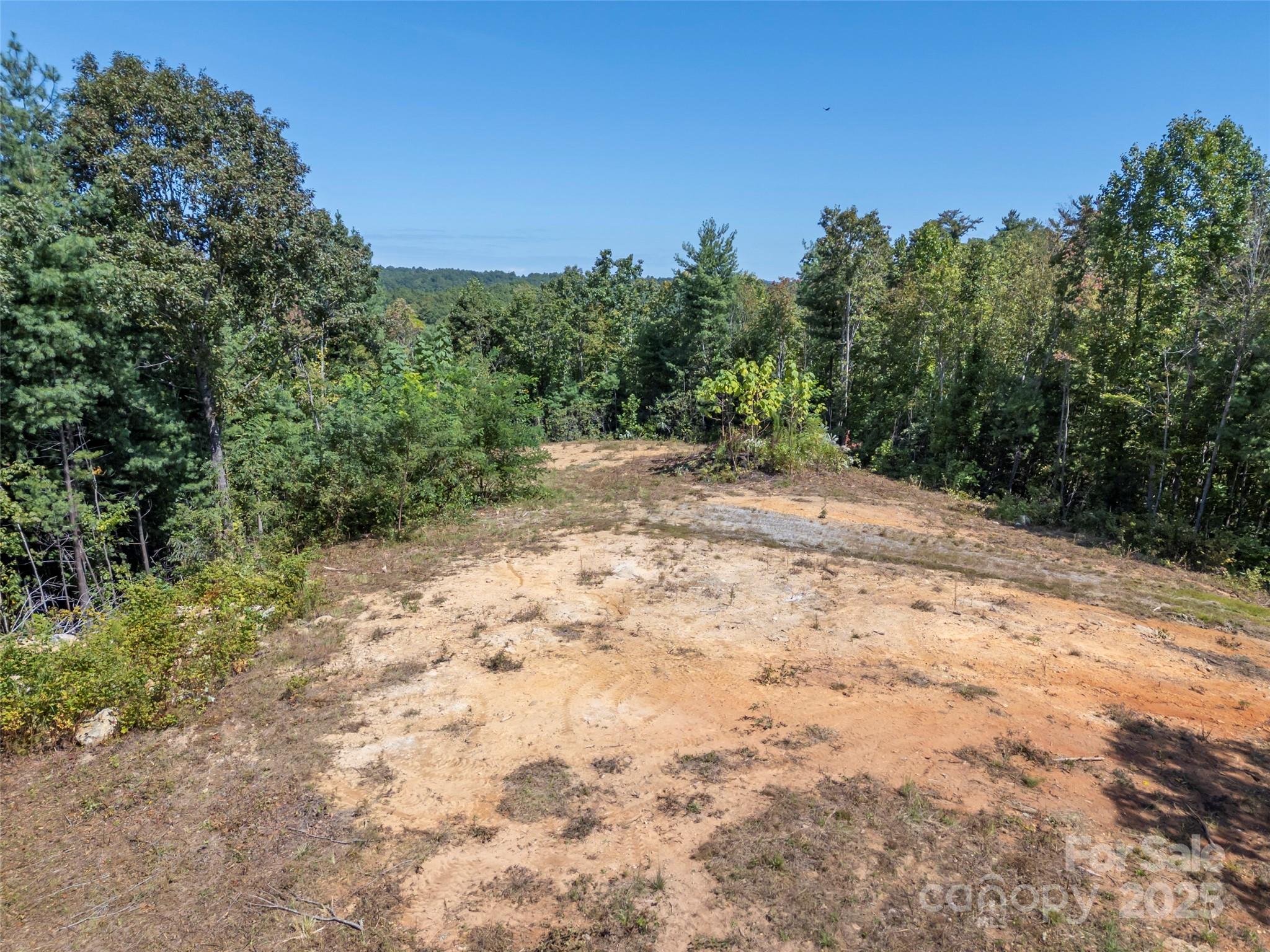 0 Camp Creek Road Saluda, NC 28773 - Photo 29 of 37 a view of a dirt road with trees in the background