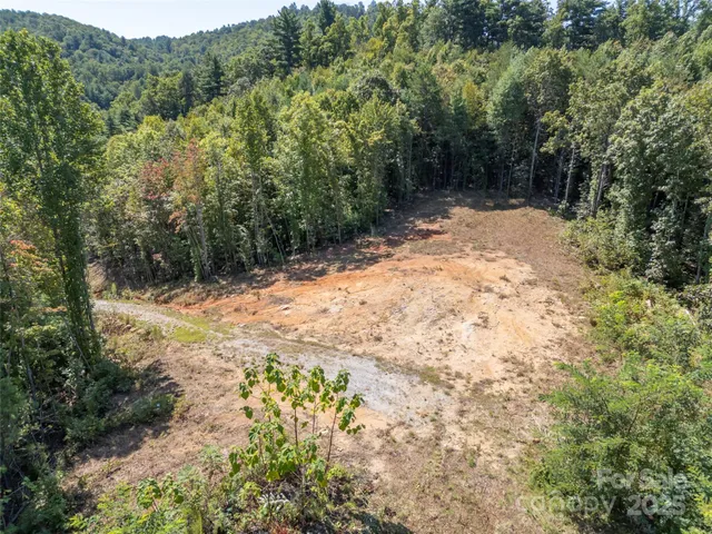 a view of a yard with plants and trees