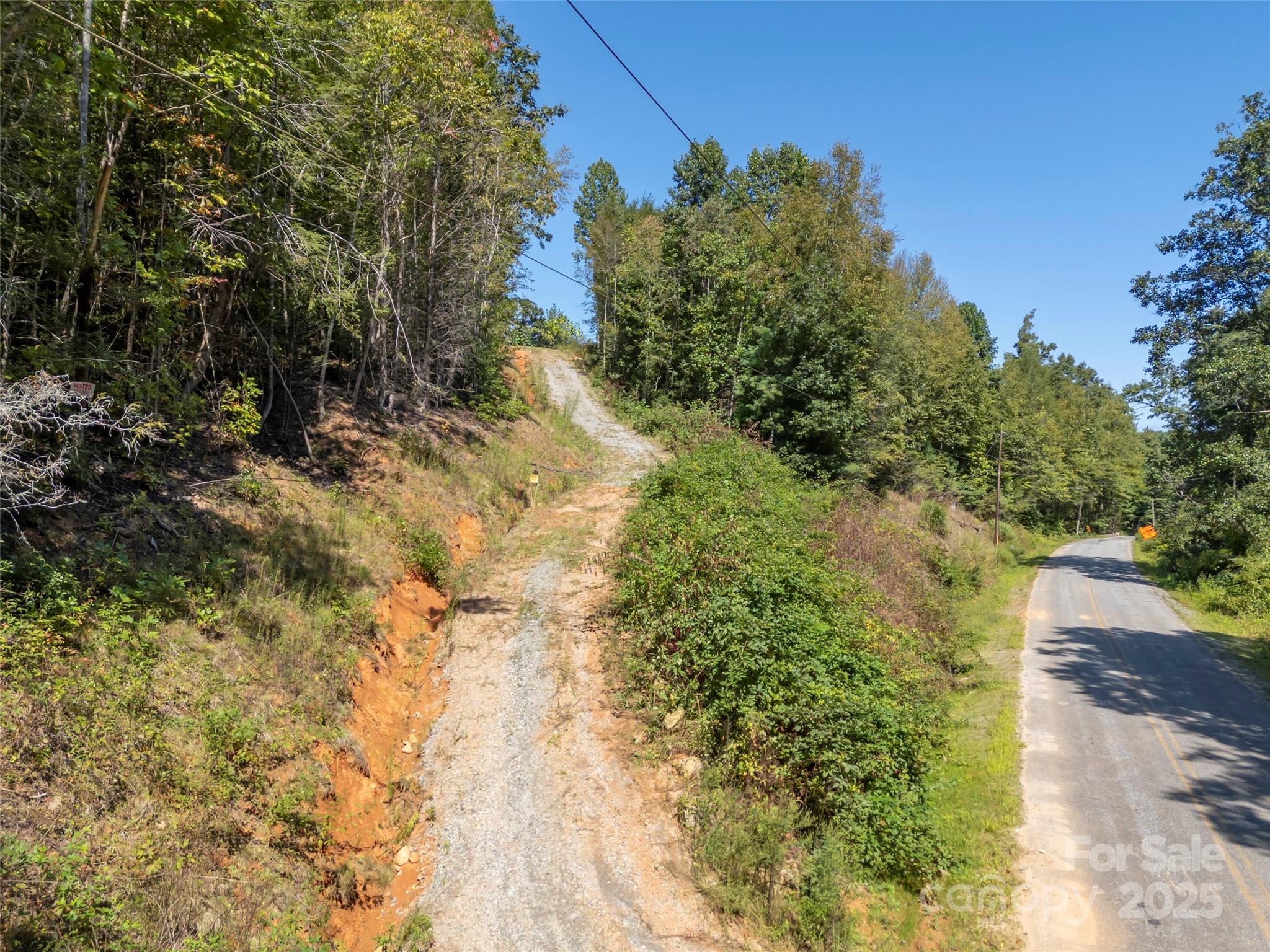 0 Camp Creek Road Saluda, NC 28773 - Photo 3 of 37 a view of a yard