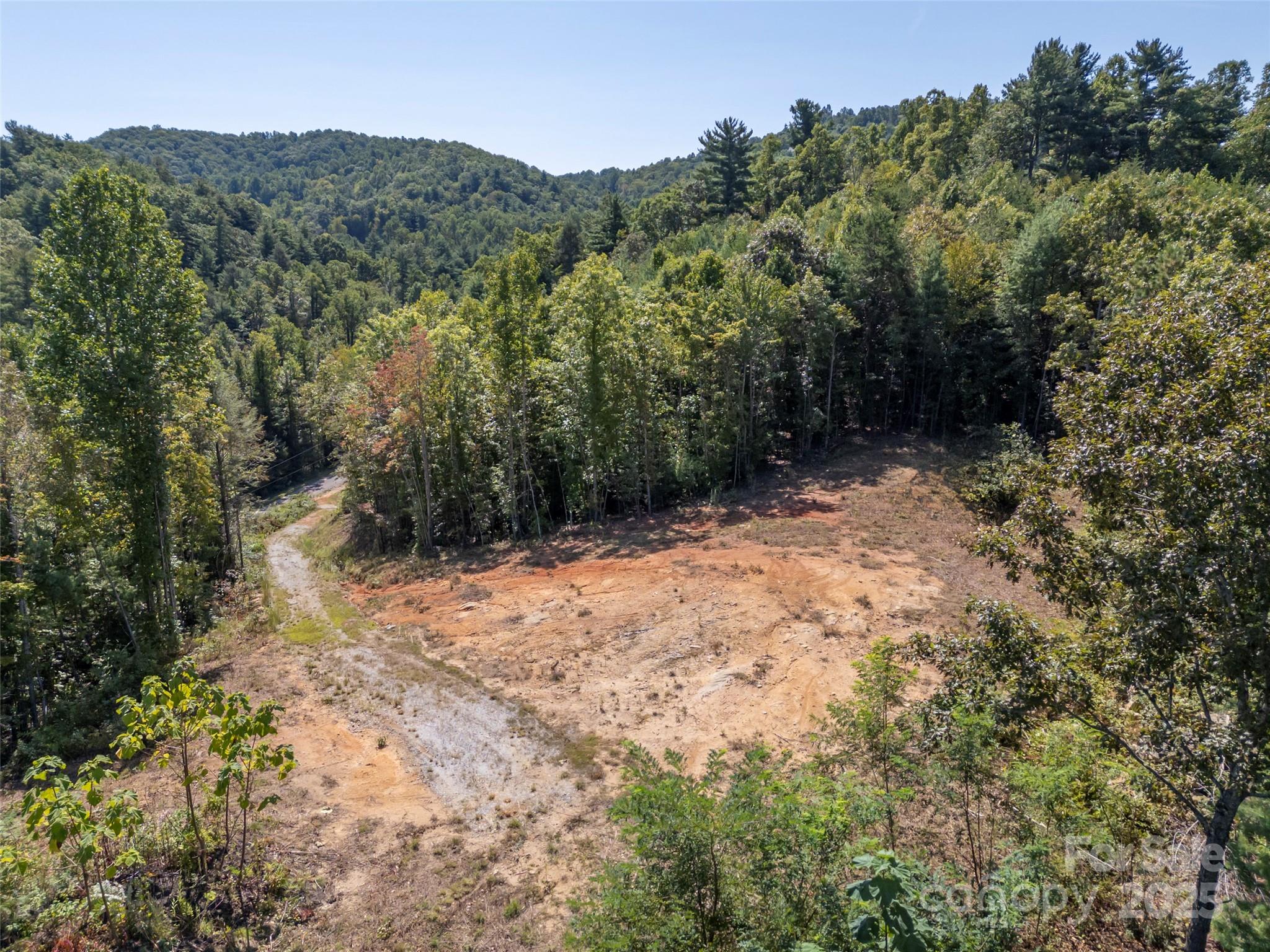 0 Camp Creek Road Saluda, NC 28773 - Photo 31 of 37 a view of a yard with a tree