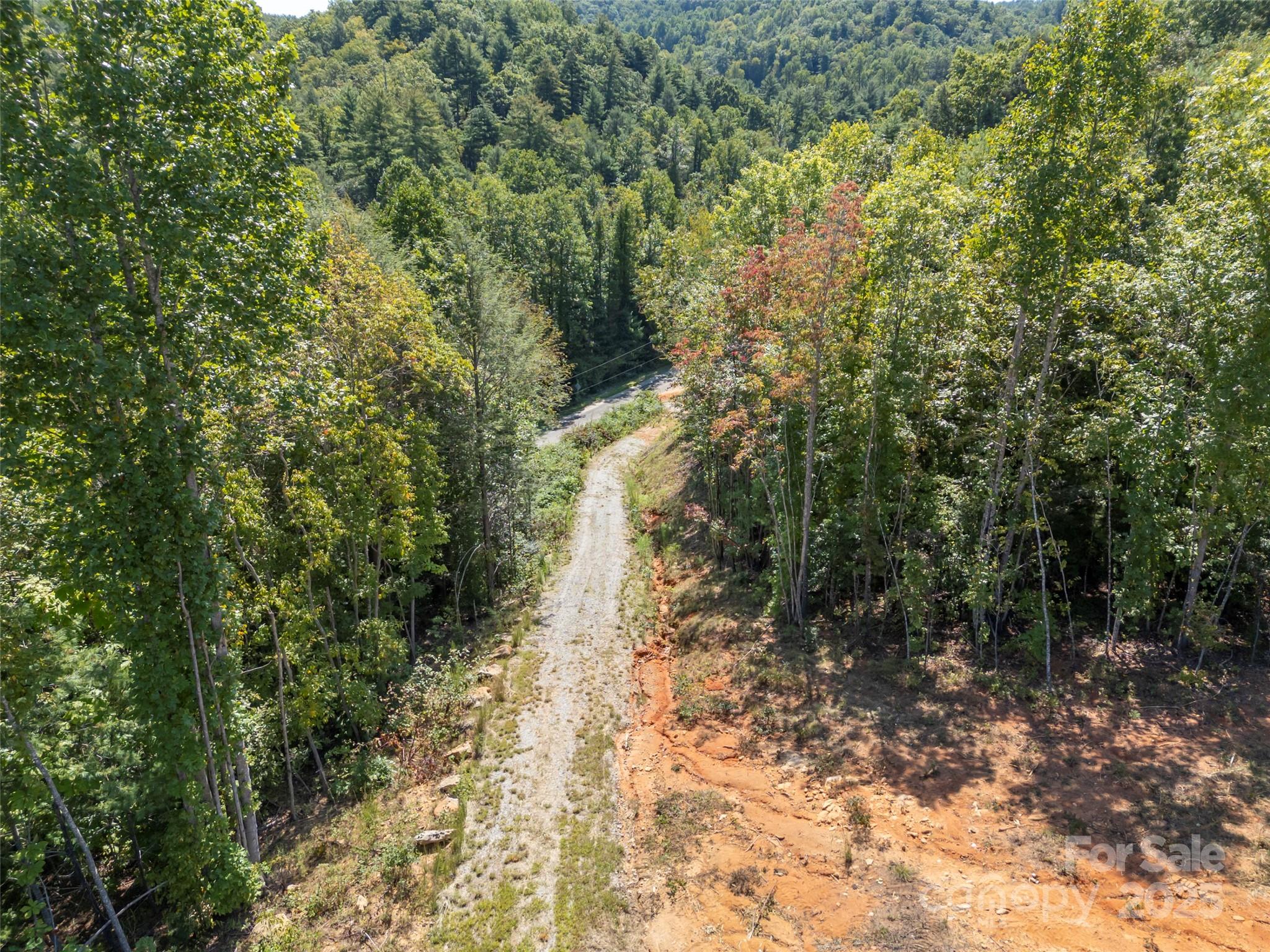 0 Camp Creek Road Saluda, NC 28773 - Photo 32 of 37 a view of a forest with trees in the background