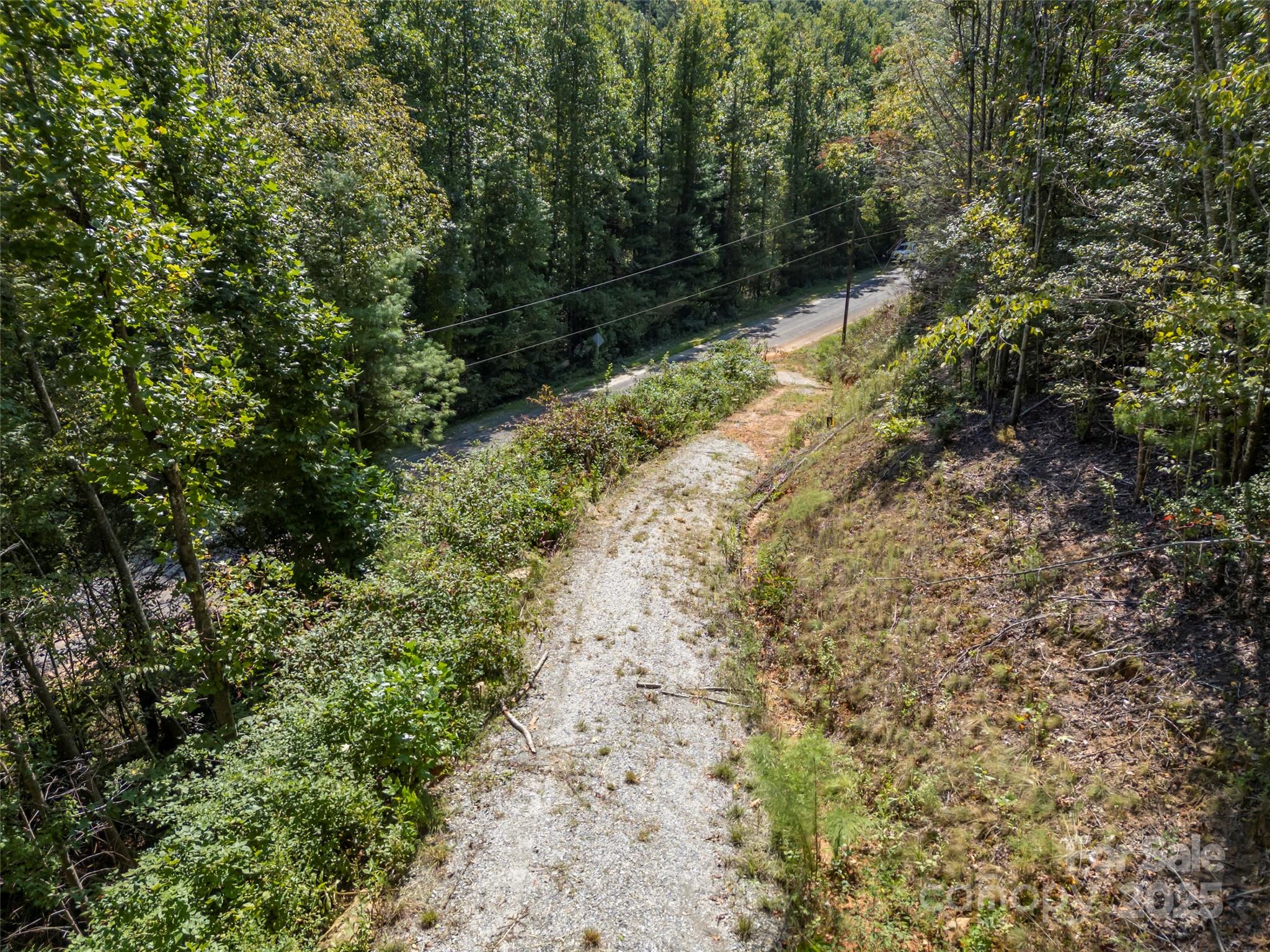 0 Camp Creek Road Saluda, NC 28773 - Photo 33 of 37 a view of a yard with plants and a trees