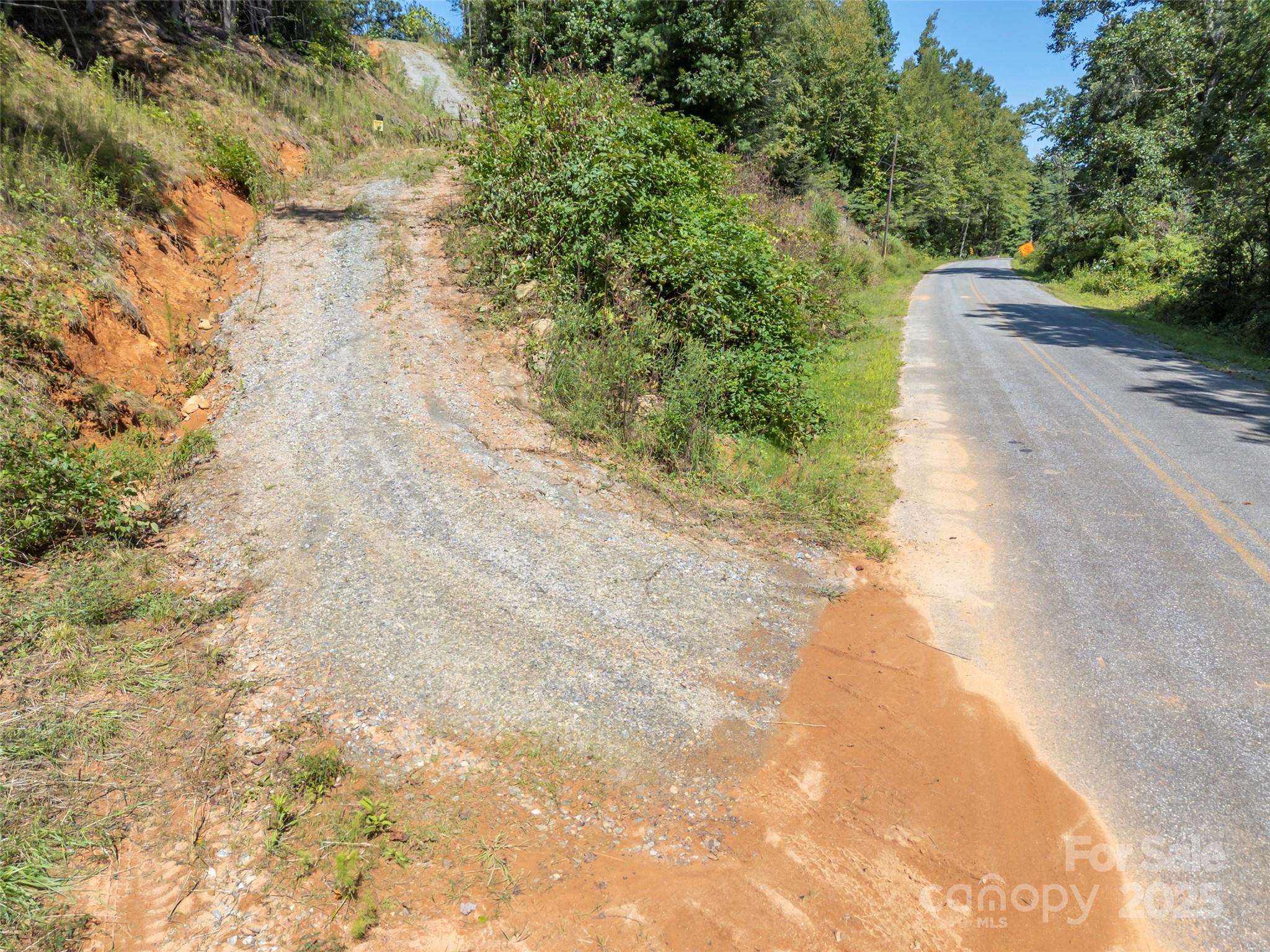 0 Camp Creek Road Saluda, NC 28773 - Photo 34 of 37 a view of a yard with plants and trees