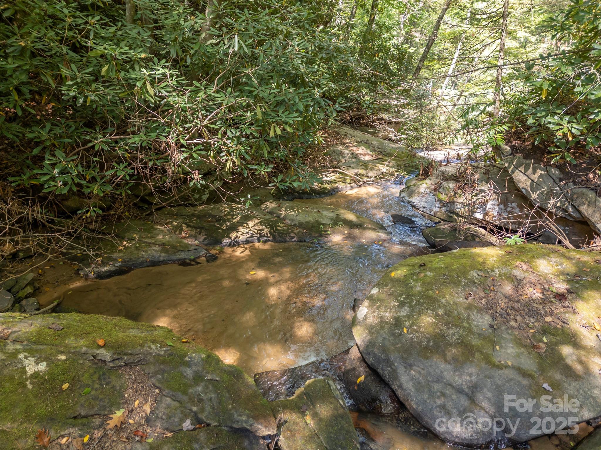 0 Camp Creek Road Saluda, NC 28773 - Photo 36 of 37 a view of lake