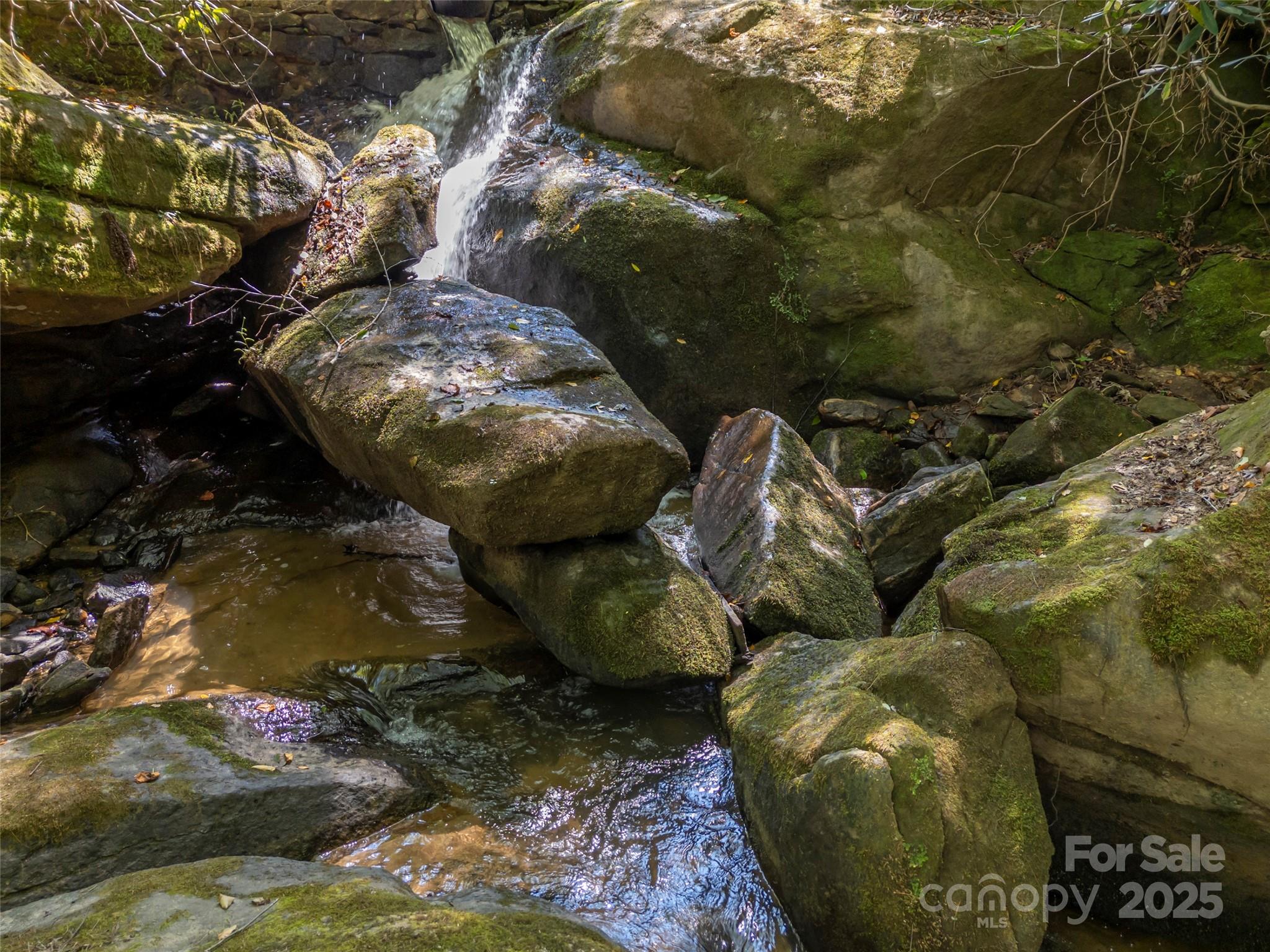 0 Camp Creek Road Saluda, NC 28773 - Photo 37 of 37