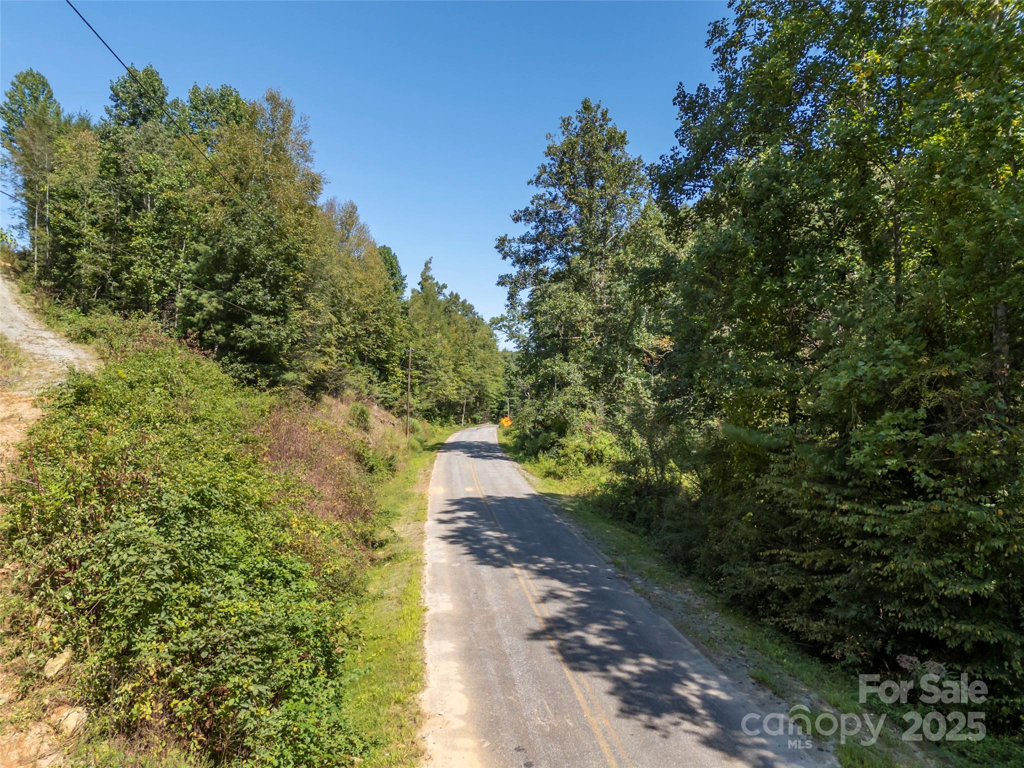 0 Camp Creek Road Saluda, NC 28773 - Photo 4 of 37 a view of a pathway both side of yard